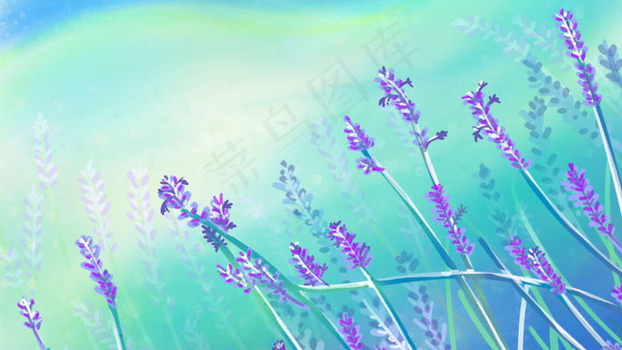 色彩缤纷繁花薰衣草(2880*1620px 300 dpi )psd模版下载