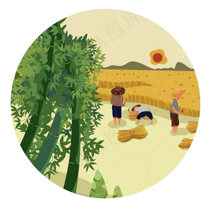 二十四节气秋分稻田农耕金黄竹子,免抠元素(2000X2000(DPI:300))psd模版下载