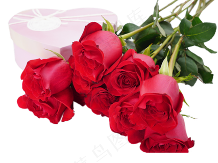 情人节礼物红玫瑰