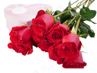 情人节礼物红玫瑰