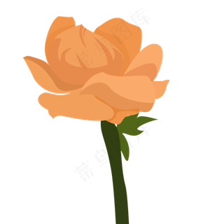 春天黄色花朵下载