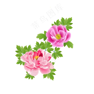 手绘矢量粉色牡丹