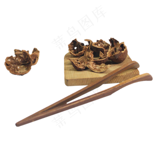 核桃皮中药,免抠元素