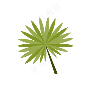 热带植物叶片绿植矢量图PNG图
