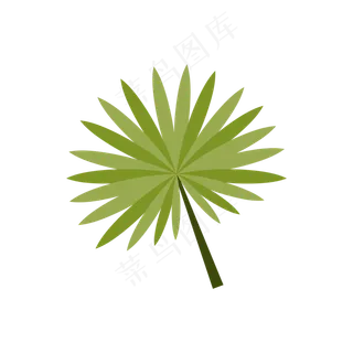 热带植物叶片绿植矢量图PNG图