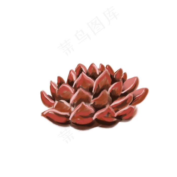 一朵红色的小花免抠插图