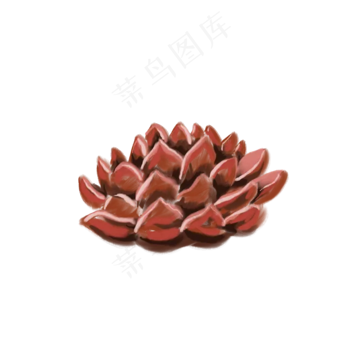 一朵红色的小花免抠插图