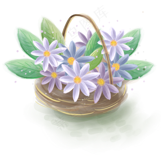 水粉一篮子菊花