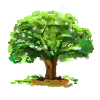 水彩橡树边框装饰画