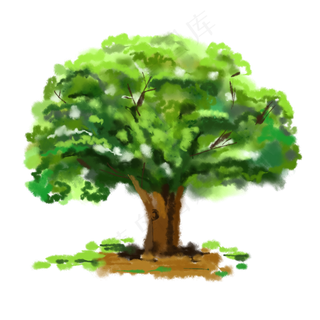 水彩橡树边框装饰画