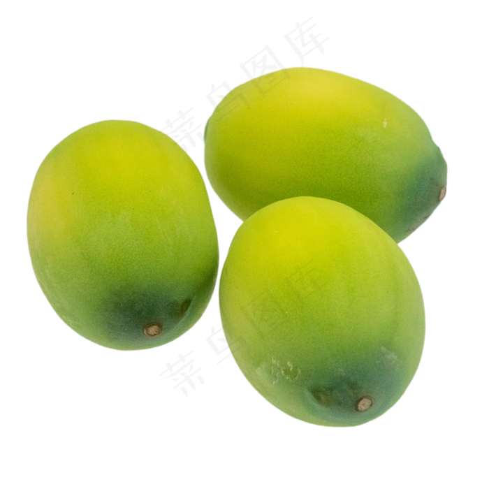 绿色椭圆青果(2048X2048(DPI:132))