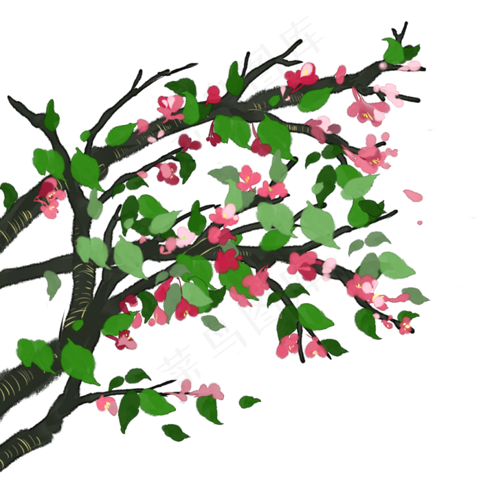 水彩春日茂盛桃花枝(3500X3500(DPI:300))psd模版下载