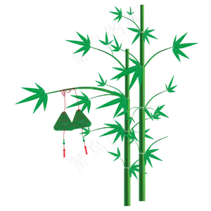 端午节粽子竹子竹叶绿色