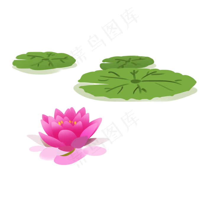 红色的荷花中国风(2000X2000(DPI:300))psd模版下载