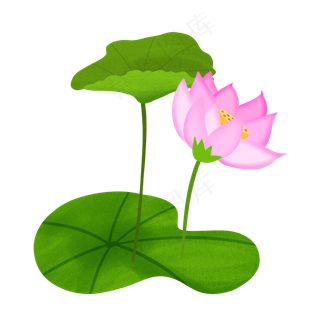 唯美粉色荷花插图