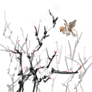中国风古典手绘花鸟果水墨矢量图,免抠元素
