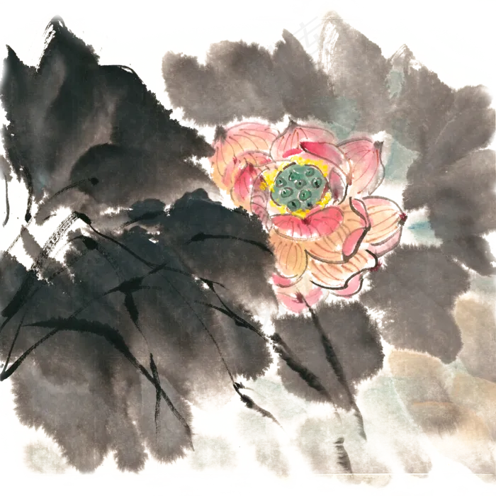 优美的荷花水墨画PNG免抠素材(4000X4000(DPI:300))psd模版下载