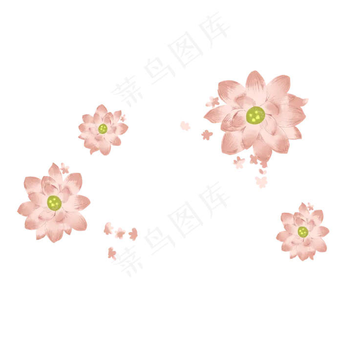 美丽的夏天荷花(2000X2000(DPI:300))psd模版下载