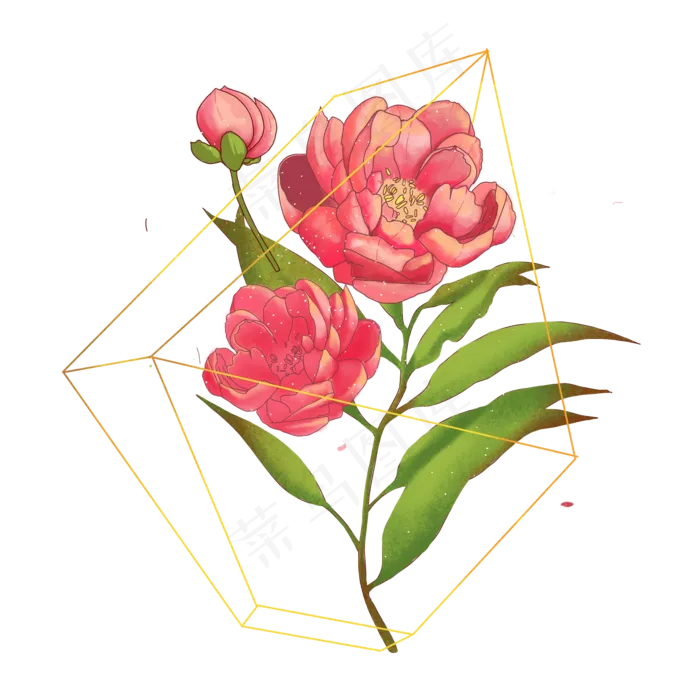 线条设计玫瑰红花(2000X2000(DPI:300))psd模版下载