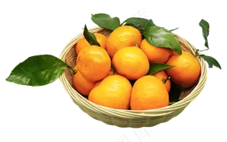水果橘子