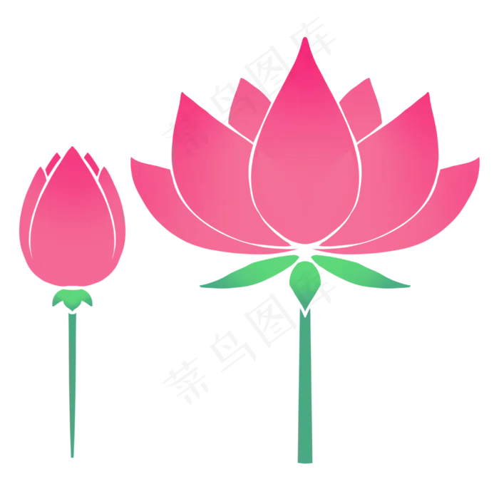 二十四节气大暑荷花(3000X3000(DPI:300))psd模版下载