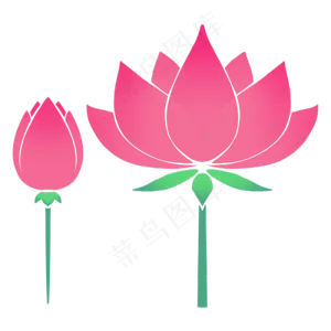二十四节气大暑荷花