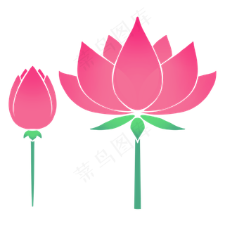 二十四节气大暑荷花