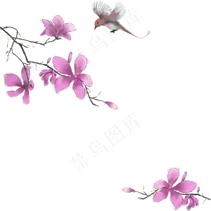 中国风花鸟古风边框,免抠元素