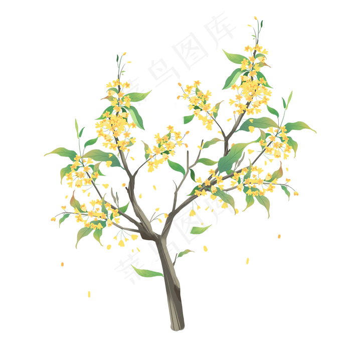 手绘秋季桂花花枝插画