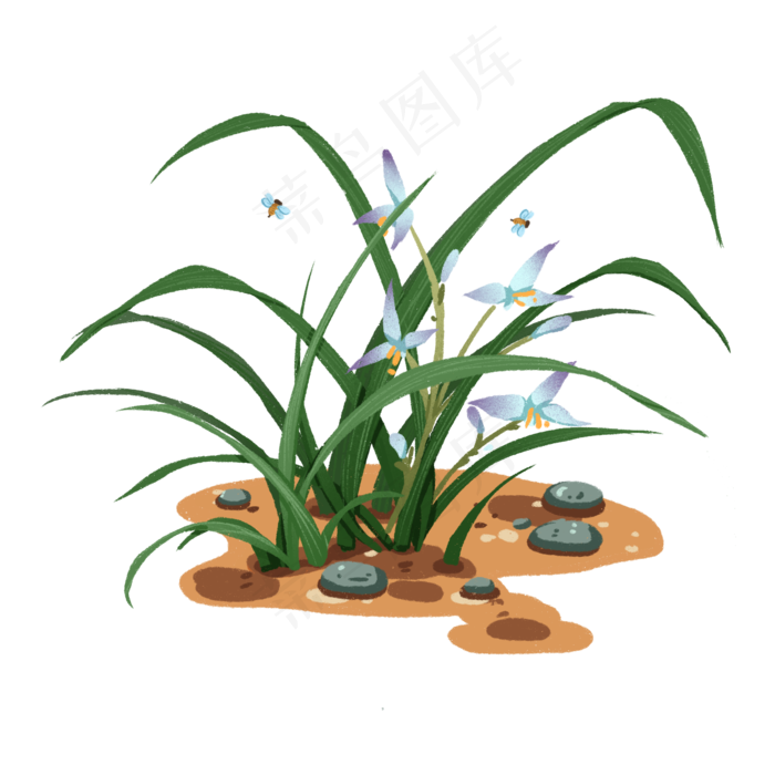 开花的兰花盆栽植物免抠元素(2000X2000(DPI:300))psd模版下载