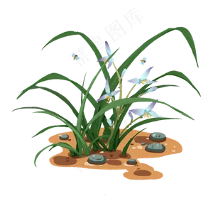 开花的兰花盆栽植物免抠元素