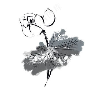 中国风荷花水墨