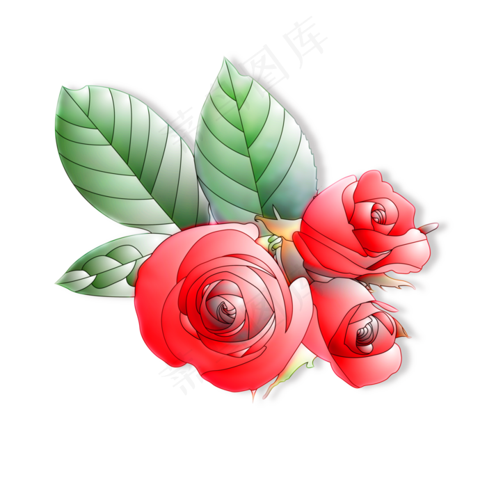 玫瑰花朵组合(4724X4724(DPI:300))psd模版下载