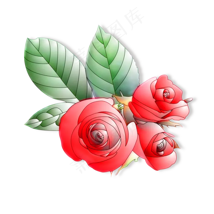 玫瑰花朵组合(4724X4724(DPI:300))psd模版下载