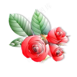 玫瑰花朵组合