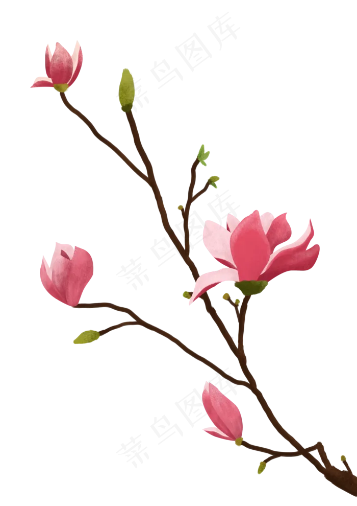 春天粉红色小清新玉兰花免抠PN(3508X4961(DPI:300))psd模版下载