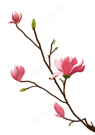 春天粉红色小清新玉兰花免抠PN