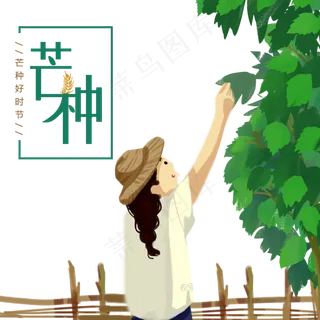手绘芒种女孩摘树叶