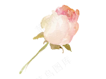 森系小清新水彩手绘花朵玫瑰,免抠元素