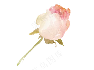 森系小清新水彩手绘花朵玫瑰,免抠元素
