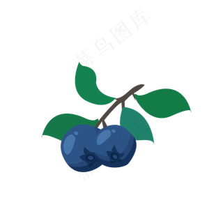 蓝色的蓝莓