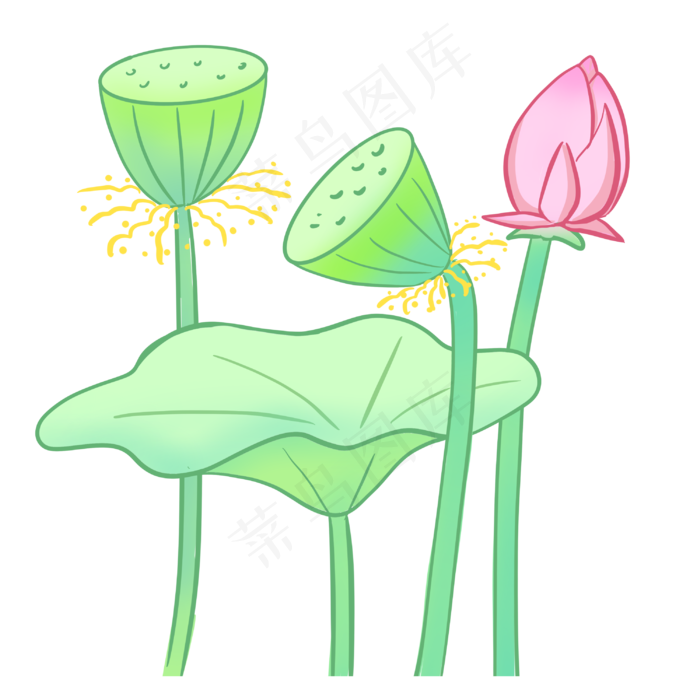 清新植物荷花荷叶(3000X3000(DPI:300))psd模版下载