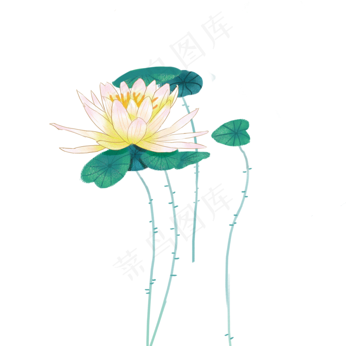 夏日荷花荷叶素材(2000X2000(DPI:300))psd模版下载