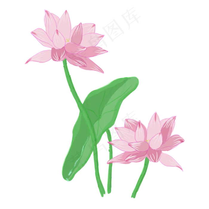 手绘中国风荷花PNG素材(2000X2000(DPI:300))psd模版下载