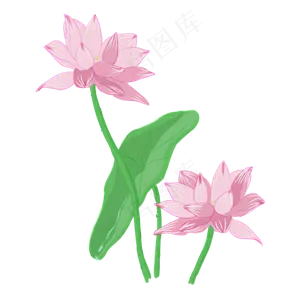 手绘中国风荷花PNG素材