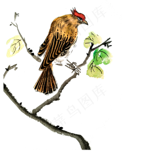 国画水墨工笔鸟雀雏鹰PNG春,免抠元素