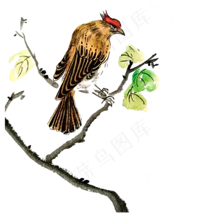 国画水墨工笔鸟雀雏鹰PNG春,免抠元素