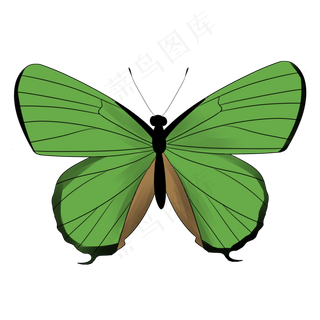 鲜艳卡通绿色蝴蝶免扣