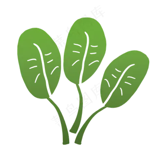 松树叶子花朵叶子