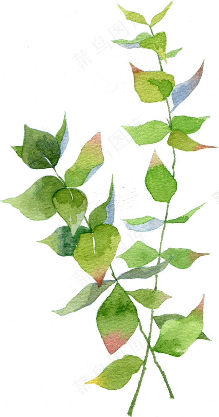 绿叶蓝色叶子水彩树叶水彩植物(1128X2148(DPI:300))psd模版下载